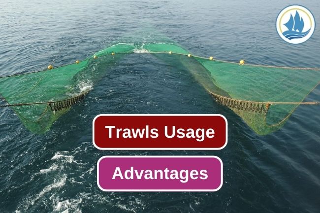 5 Advantages of Trawl as a Fishing Gear 
